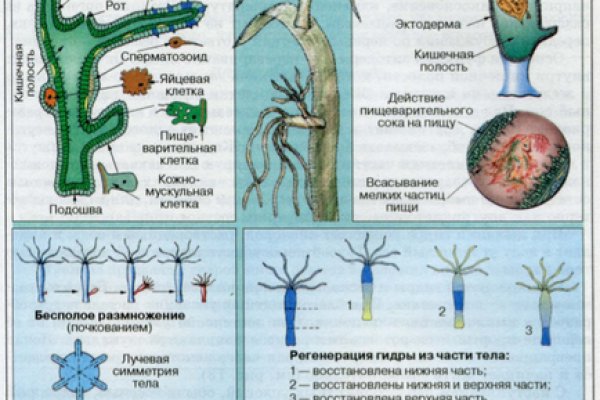 Кракен площадка торговая kr2web in