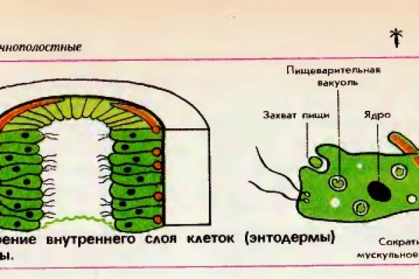 2krn сс