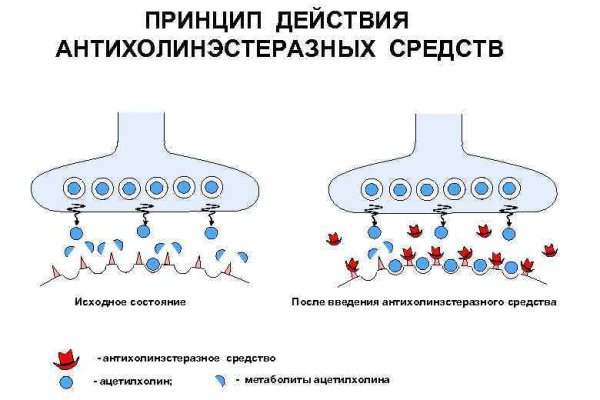 Кракен сайт 14